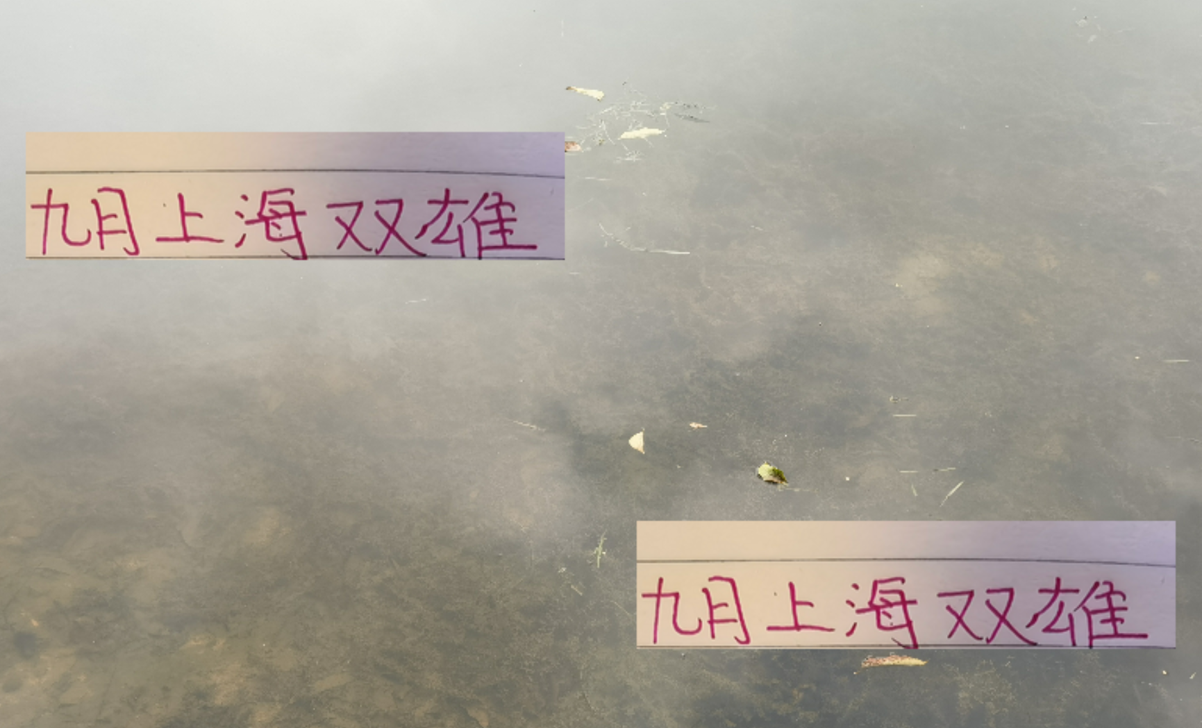 九游体育-9月份上海双雄申花 海港 会像曼彻斯特的天空一样青一块紫一块吗